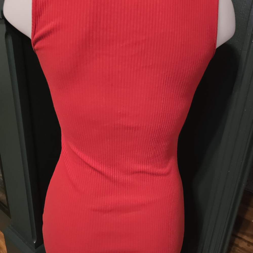 Sugarlips Red Ribbed Dress - Picture 4 of 6